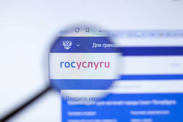 Услуги доступные мигрантам на Госуслугах